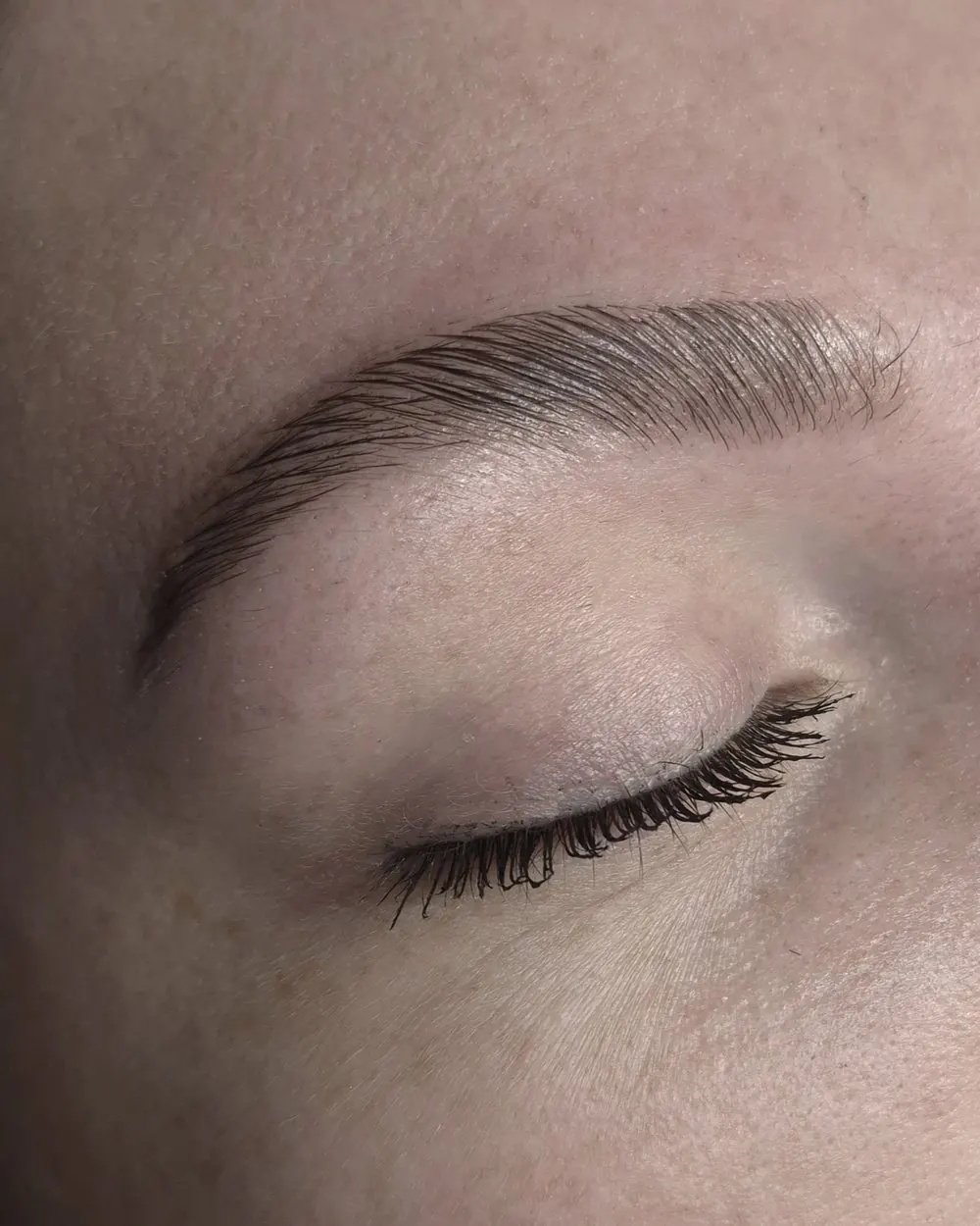 Sourcil restructuré et brossé